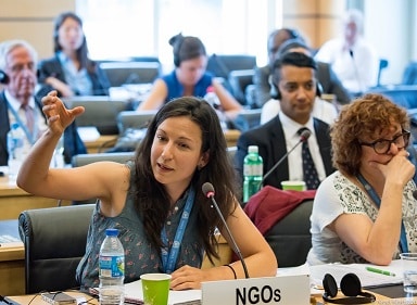 Nena@UN disability committee2016