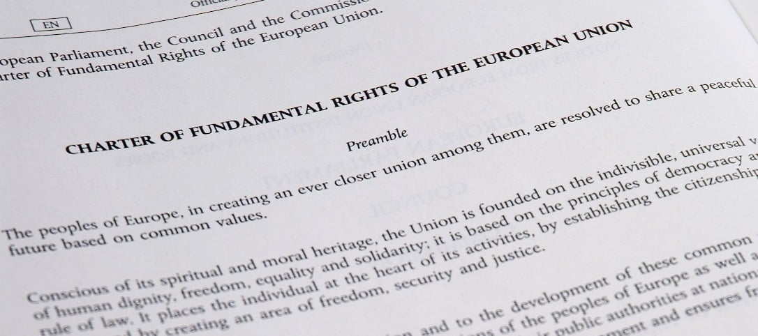 fundamental_rights_charter-photo_by_Trounce_Own_work-cropped